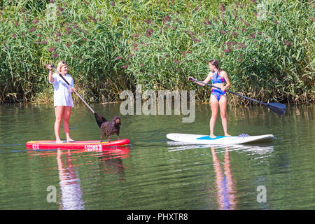 Tuckton, Bournemouth, Dorset, Großbritannien. September 2018, 3rd. Wetter in Großbritannien: Schöner, warmer, sonniger Tag, an dem Besucher den Fluss Stour in Tuckton entlang schlendern. Junge Frauen Paddleboarding mit Hund Paddle Boarding auf Paddleboard Paddleboard - Paddleboarder Paddleboarder. Quelle: Carolyn Jenkins/Alamy Live News Stockfoto