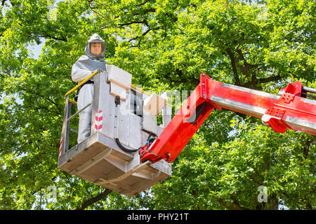 Mann kämpfen Eiche Prozession Raupen in Antenne Plattform Stockfoto