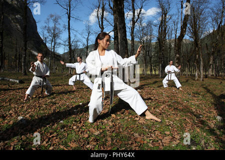 Mitglieder der Karate Club München USC zeigen ihren Sport an der grossen Ahorn Boden im Karwendel Alpen, Österreich Stockfoto