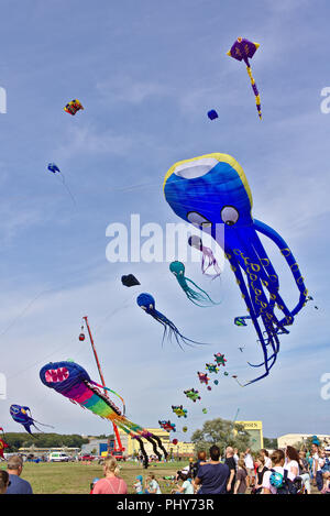 Lemwerder, Deutschland - 18. August 2018 - Die großen blauen Drachen in der Form eines riesigen Oktopus am Lemwerder Drachenfest fliegen Stockfoto