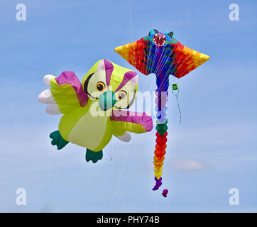 Lemwerder, Deutschland - 18 August, 2018 - Zwei große Drachen (ein in der Form einer Cartoon Eule und einem traditionell geformte Kite) vor einem blauen Himmel ein Stockfoto