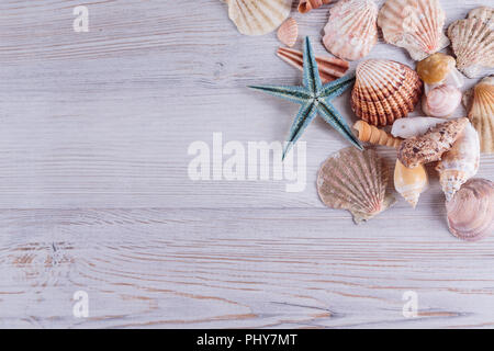 Seesterne und Muscheln auf weißen Holzmöbeln im Landhausstil Hintergrund, Ansicht von oben Stockfoto