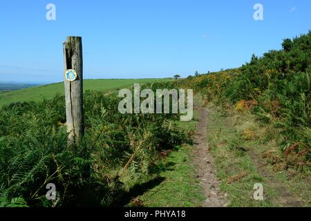 Fußweg Zeichen auf einer alten hölzernen Pfosten auf dem Spaziergang zu Frenni Fawr Preseli Hills Pembrokeshire Nationalpark Wales Cymru GROSSBRITANNIEN GB Stockfoto