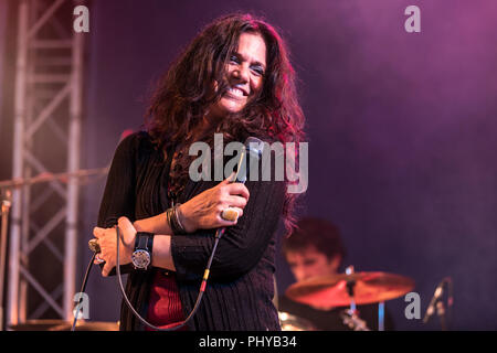 Sari Schorr Stockfoto