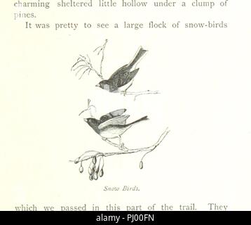 Bild von Seite 325 von" [B. C. in 1887. Einen Bummel in British Columbia mit Karte und Illustrationen etc.]". Stockfoto