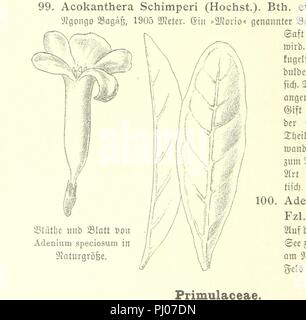 Bild von Seite 892 der 'zum Rudolph-See und Stephanie-See. Die Forschungsreise des Grafen S. Teleki in Ost-Acquatorial - Afrika, 1887-1888". Stockfoto