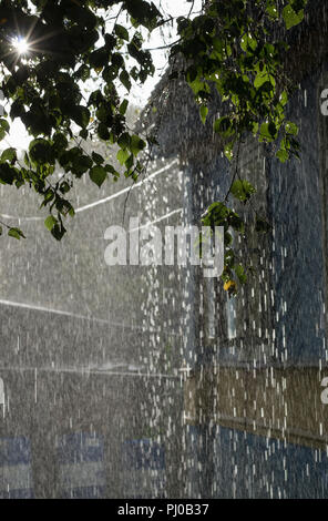 Bei einem starken Regen vom Dach Haus fließen Ströme von Wasser und Sonnenstrahlen scheinen durch Birke Laub Stockfoto