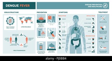 Dengue-virus Infografik: virus Struktur, Getriebe, Prävention, Symptome und Behandlung Stock Vektor