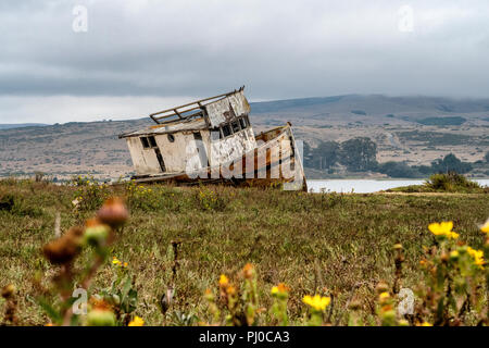 Die Point Reyes abgebrochen Schiffbruch an der Küste von Tomales Bay in Inverness, Point Reyes National Seashore, Kalifornien. Stockfoto