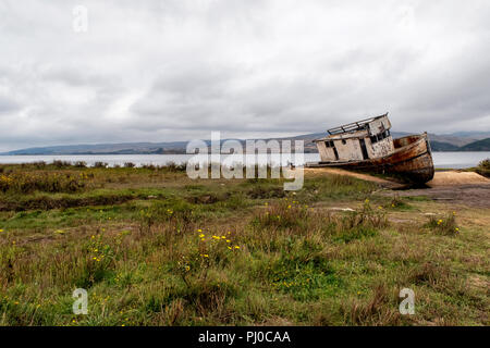 Die Point Reyes abgebrochen Schiffbruch an der Küste von Tomales Bay in Inverness, Point Reyes National Seashore, Kalifornien. Stockfoto