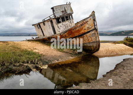 Die Point Reyes abgebrochen Schiffbruch an der Küste von Tomales Bay in Inverness, Point Reyes National Seashore, Kalifornien. Stockfoto