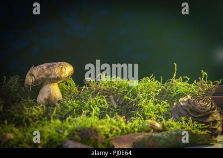 Ein Spaß, Traum Bild eines Fliegenpilz in Moss mit Pine Cone und Eicheln und ein wenig Lens Flare. Stockfoto