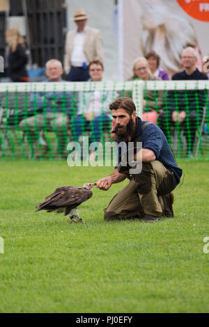 Ben Potter Steller's Sea Eagle auf der Southport 2018 Flower Show Stockfoto