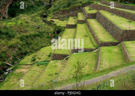 Alten Inka landwirtschaftlichen Terrassen Ruinen von Pisac Archäologische Stätte im Heiligen Tal der Region Cusco, Peru Stockfoto