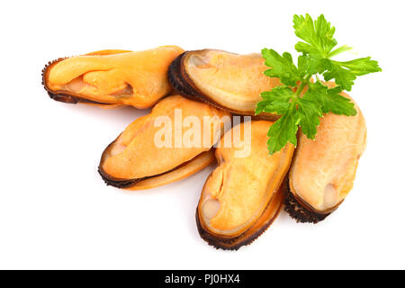 Muschel mit Petersilie Blatt auf weißem Hintergrund. Stockfoto