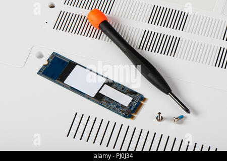 M.2 Stecker Typ SATA SSD (Solid-State Drive) und Schraubendreher mit Schrauben Stockfoto