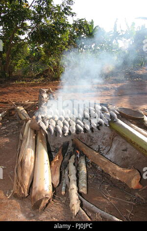 Nilbarsch Fisch wird von über einem Holzfeuer in Masaka Distrikt, Uganda geraucht werden geheilt. Stockfoto