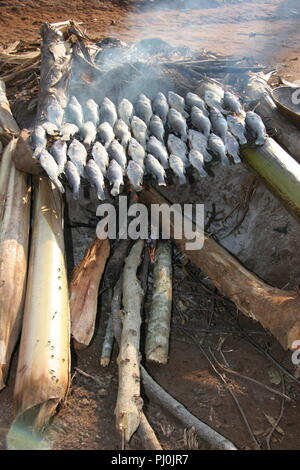 Nilbarsch Fisch wird von über einem Holzfeuer in Masaka Distrikt, Uganda geraucht werden geheilt. Stockfoto