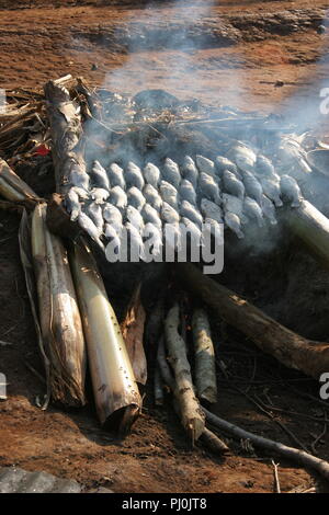 Nilbarsch Fisch wird von über einem Holzfeuer in Masaka Distrikt, Uganda geraucht werden geheilt. Stockfoto