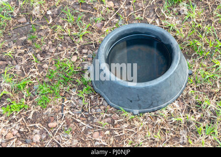 Eine Nahaufnahme eines warnen Grauer Kunststoff hunde Wasser Schüssel auf einem Gras lawrn Stockfoto