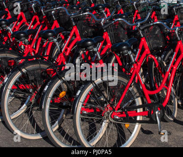 Rote Fahrräder, die zusammen gestapelt, bereit zu mieten, Stockholm, Schweden. September 2018. Stockfoto