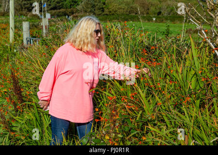 Ältere blonde Frau wandern in country lane Stockfoto