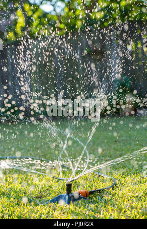 Ein Gartensprinkler sprüht Wasser auf einem St. Augustine (Palmetto) Rasen in einem Sydney Hinterhof in Australien Stockfoto