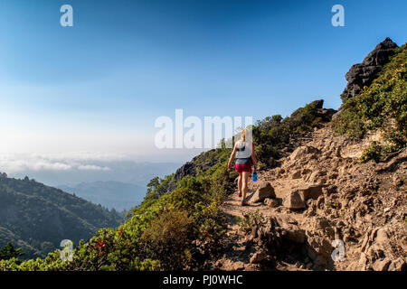 Eine Frau Wanderungen im Osten Spitze des Mount Tamalpais in Marin County, Kalifornien. Stockfoto