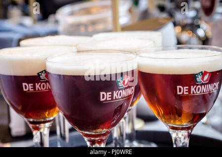 Geführte Bier Tour Antwerpen Belgien Stockfoto