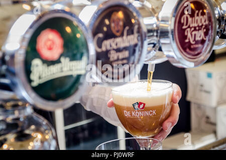 Geführte Bier Tour Antwerpen Belgien Stockfoto