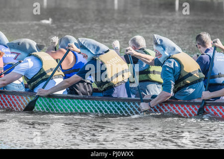 Kostüme von Kandidaten im Dragon Boat Race von Osten Northants Rotary Clubs an Wicksteed Park, Kettering am 2. September organisiert abgenutzt Stockfoto