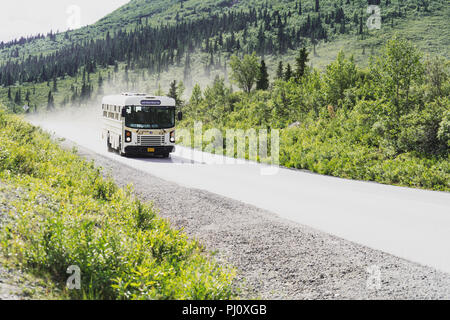 Ein weißer Bus senkt die Kies Park Road im Denali Nationalpark in Alaska. Die Straße ist zu persönlichen Fahrzeuge geschlossen. 2018 Juli 30 - Denali AK Stockfoto