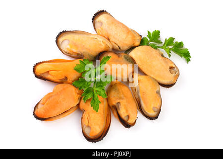 Muschel mit Petersilie Blatt auf weißem Hintergrund. Stockfoto