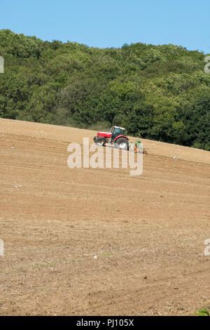 Eine moderne Traktor Ziehen einer Pflugschar oder Drillmaschine, die über ein großes Stück Ackerland oder Feld in der britischen Landschaft. Stockfoto