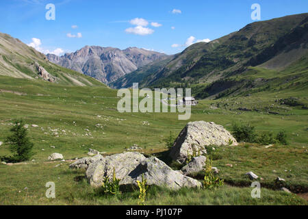 Col de la Cayolle, Seealpen, Frankreich Stockfoto