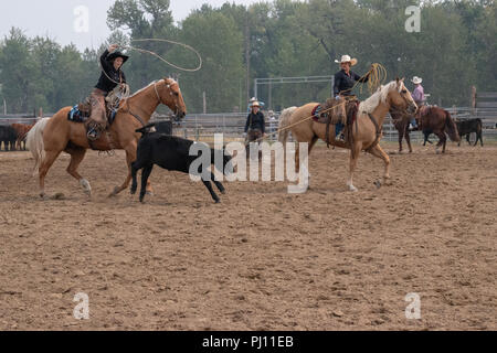 Ranch Hand konkurrieren in der mock branding Konkurrenz während der Ranch Rodeo an der Bar U Ranch National Historic Site von Kanada, Parks Kanada, Longvi Stockfoto