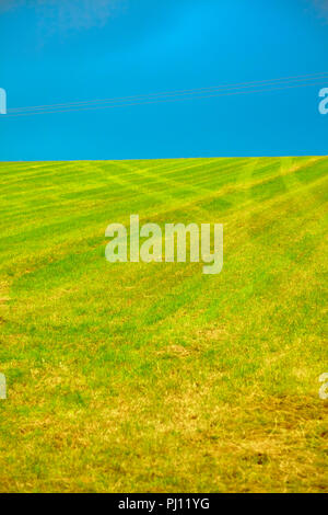 Reifenspuren auf einem grünen Feld mit blauem Himmel Englische Landschaft Stockfoto