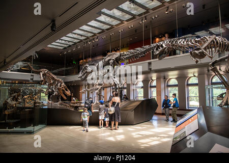 Das Natural History Museum von Los Angeles County ist der grösste natürliche und historische Museum in den westlichen Vereinigten Staaten. Ihre Sammlungen umfassen ne Stockfoto