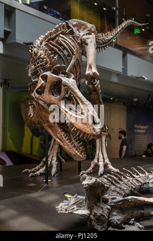 Das Natural History Museum von Los Angeles County ist der grösste natürliche und historische Museum in den westlichen Vereinigten Staaten. Ihre Sammlungen umfassen ne Stockfoto