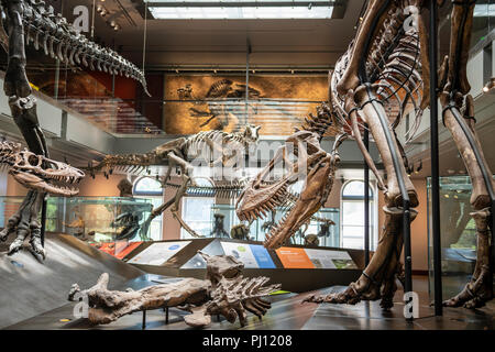 Das Natural History Museum von Los Angeles County ist der grösste natürliche und historische Museum in den westlichen Vereinigten Staaten. Ihre Sammlungen umfassen ne Stockfoto