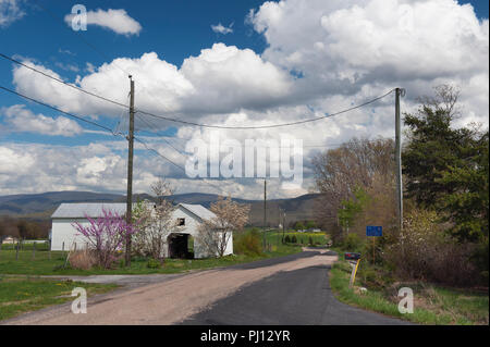 Country Road, Shenandoah Valley, Virginia. Die Blue Ridge Berge sind in der Ferne zu sehen. Stockfoto