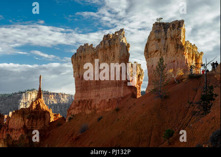 Am späten Nachmittag Licht auf Bryce Canyon National Park, Utah. Stockfoto