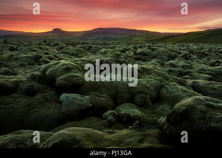 Moos bedeckt Lavafeld Eldhraun der südlichen Island Stockfoto