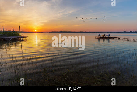 Holzsteg und fliegende Schwäne bei Sonnenaufgang am Powidzkie See in Polen. Stockfoto