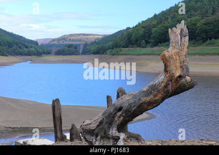 Derwent Behälter mit niedrigen Wasserständen während der Hitzewelle im Sommer 2018. Howden Damm können im Hintergrund gesehen werden. Stockfoto