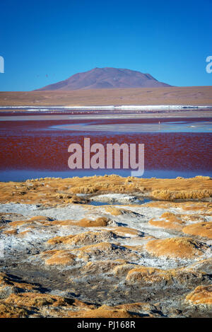 Blick auf die Laguna Colorada, bunte Salt Lake in Sur Lipez Provinz, Potosi, Bolivien Stockfoto