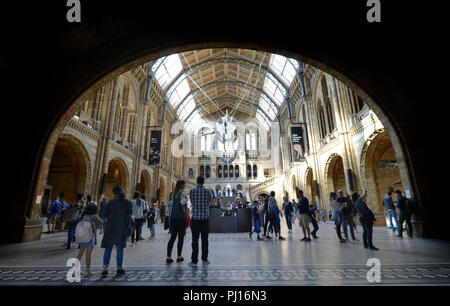 Haupthalle, Natural History Museum, Cromwell Road, Kensington, London, England, Grossbritannien Stockfoto