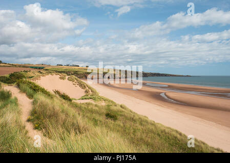 Lunan Bay Beach und Sanddünen, Angus, Schottland. Stockfoto