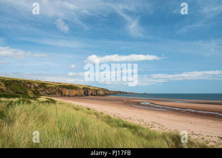 Lunan Bay Beach und Sanddünen, Angus, Schottland. Stockfoto