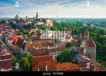 Tallinn-Dach, Blick über die malerischen orangefarbenen Ziegeldächer des mittelalterlichen Altstadtviertels und der Unterstadt-Mauer (rechts) im Zentrum von Tallinn, Estland Stockfoto